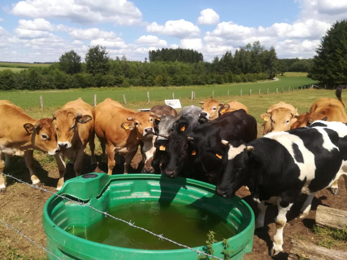 Villa La Ferme Oubliée Paliseul Esterno foto