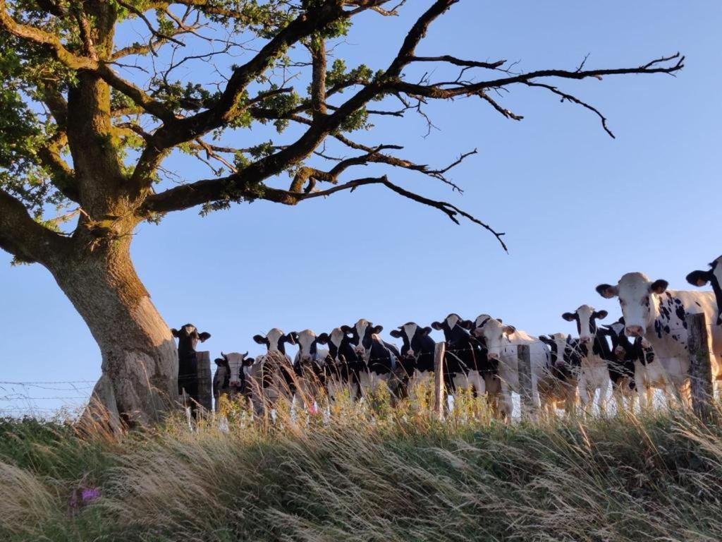 Villa La Ferme Oubliée Paliseul Esterno foto