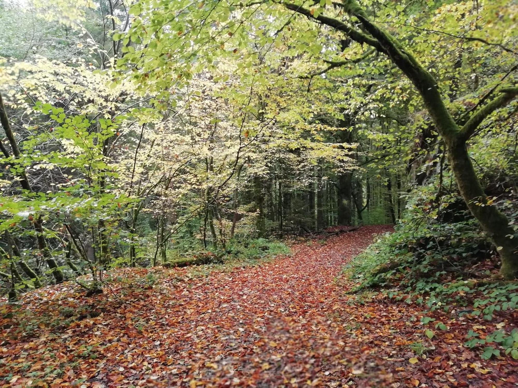 Villa La Ferme Oubliée Paliseul Esterno foto